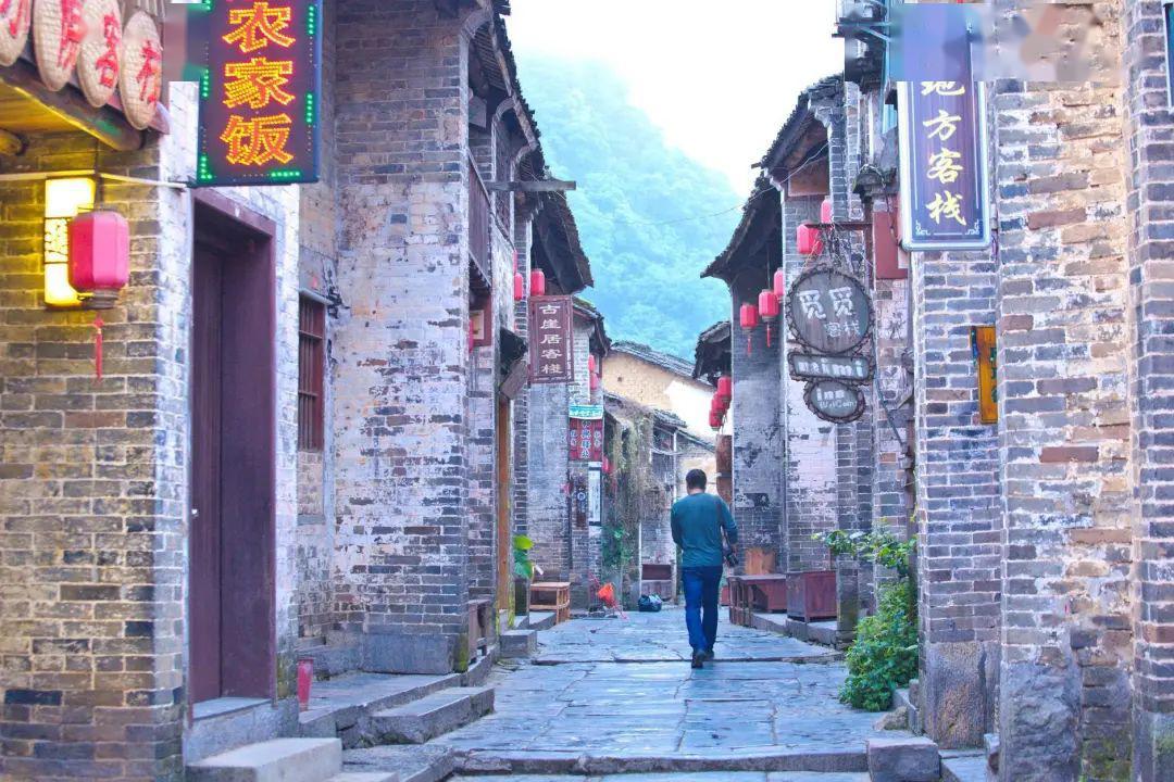 向善而行!阿拉善这厢有“礼”啦~